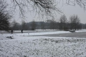 1702963153Stadsparkindesneeuw
