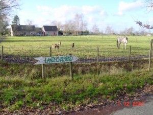 2121974704Landschapspad