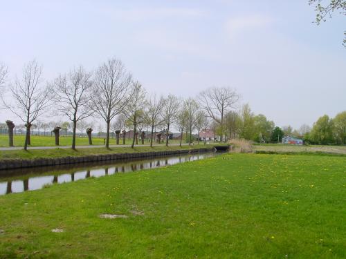 778782068laan