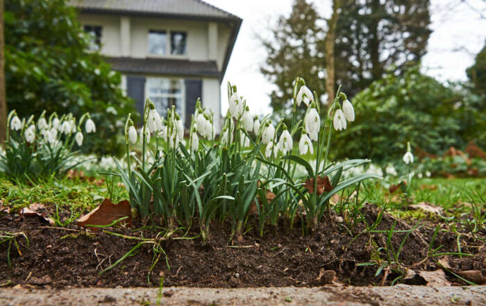 Guerrilla Gardening en inspiratiesessie door NMU