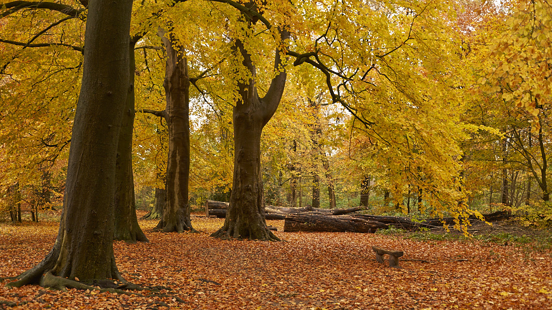 Herfstfair De Inham