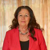 Yvonne van Norden voorzitter
