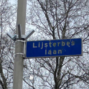 Vlaggenhouders Lijsterbeslaan