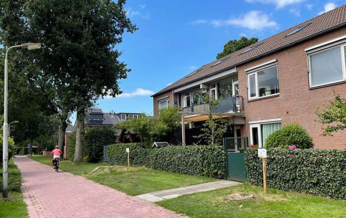 Afgezaagde restanten van vernielde eikenbomen aan Venterspad