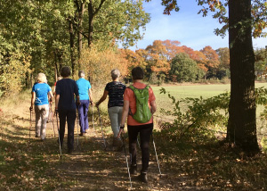 Mensen wandelen in bos - Kort Hooglands nieuws (augustus #2) Nordic Walking