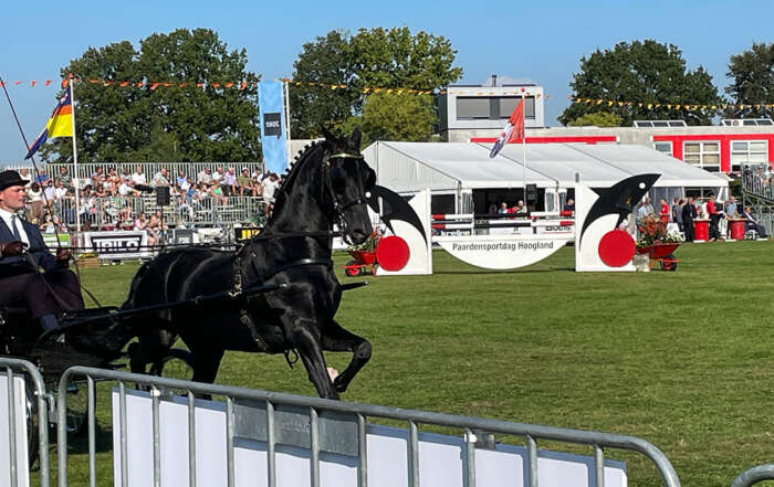 30 Jaar Dorpsfeest Hoogland paardensportdag