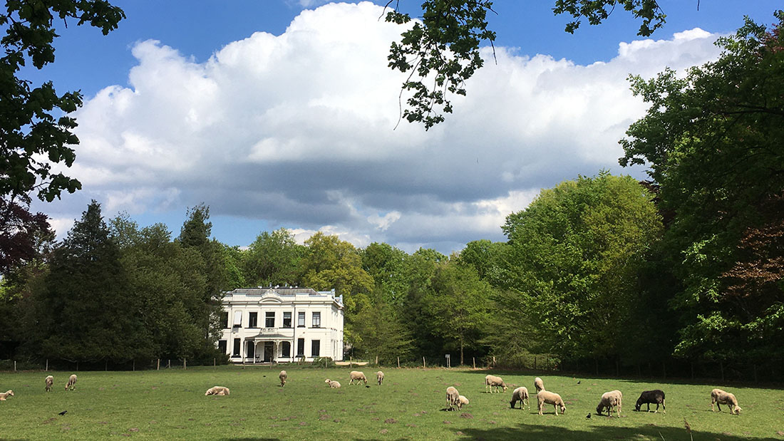 PubQuiz deel 3 Witte villa Park Schothorst