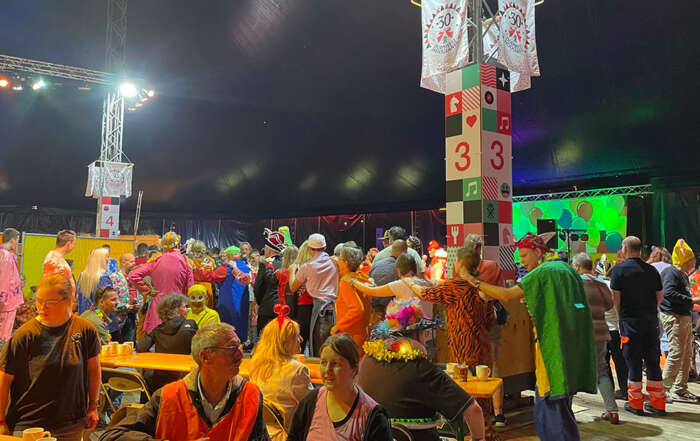Hossende feestgangers tijdens Zomercarnaval Dorpsfeest Hoogland