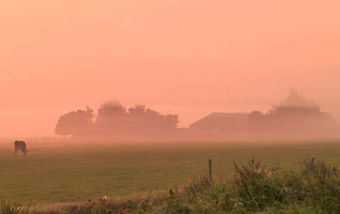 Actie Houd Hoogland-West groen