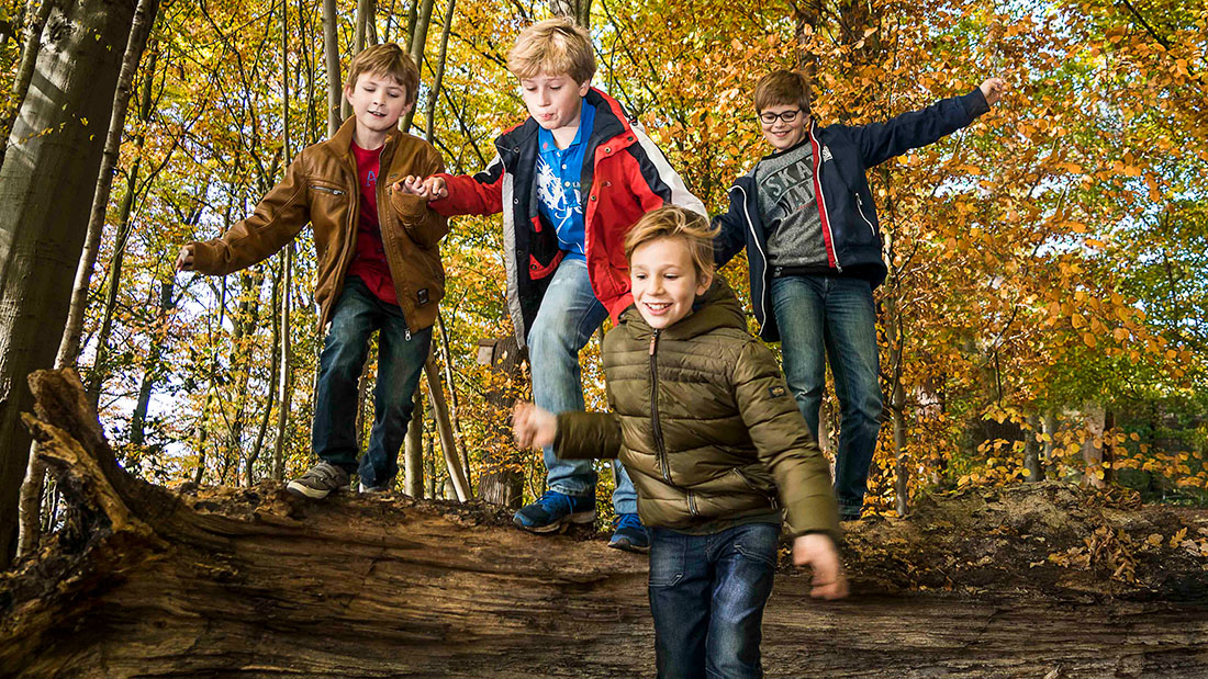Activiteiten op landgoed Schothorst herfst 2024 - Voorbeeldig fotografie