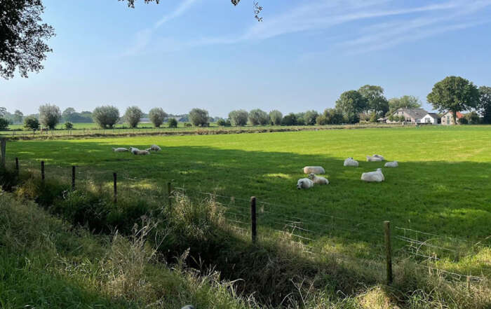 Ontwerp Omgevingsprogramma Hoogland-West