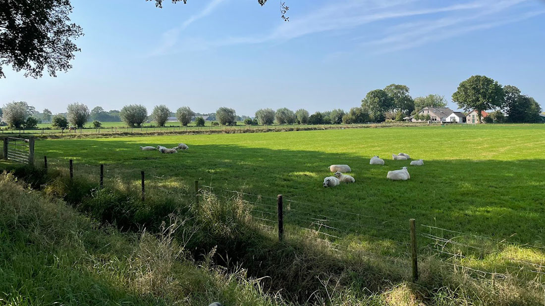 Ontwerp Omgevingsprogramma Hoogland-West