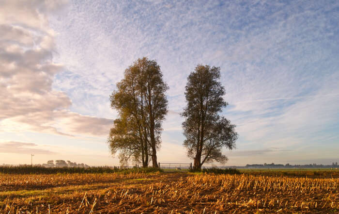 Omgevingsplannen Hoogland-West