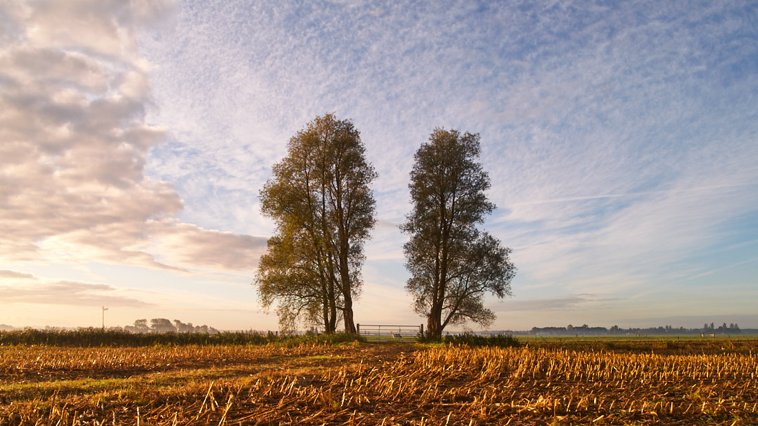 Omgevingsplannen Hoogland-West