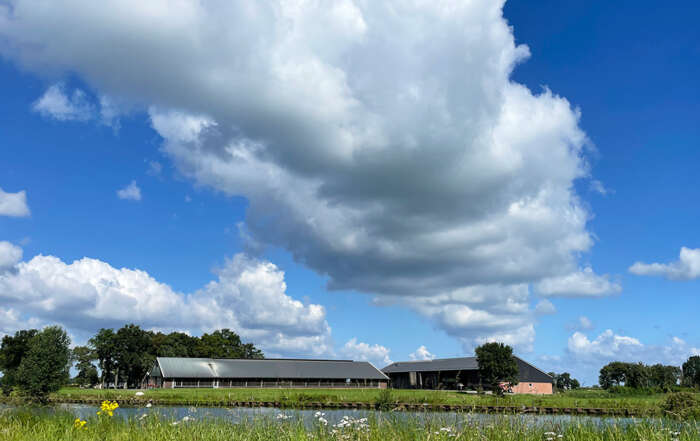Plannen herinrichting Hoogland-West