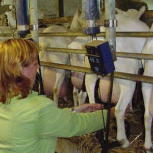 Streekproducten Hoogland-West melken geiten