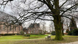 Hooglandse Wintersferen in Pastorietuin