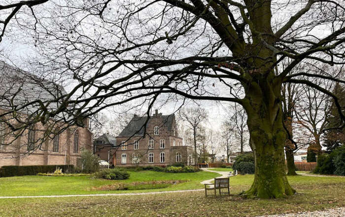 Hooglandse Wintersferen in Pastorietuin