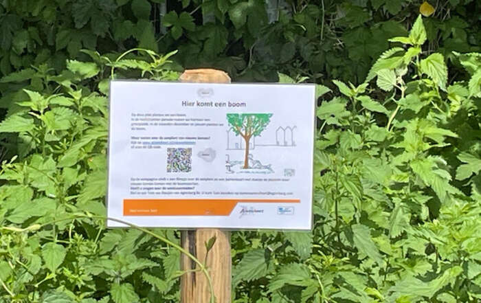 Kerst Kort Hooglands nieuws december bomen planten