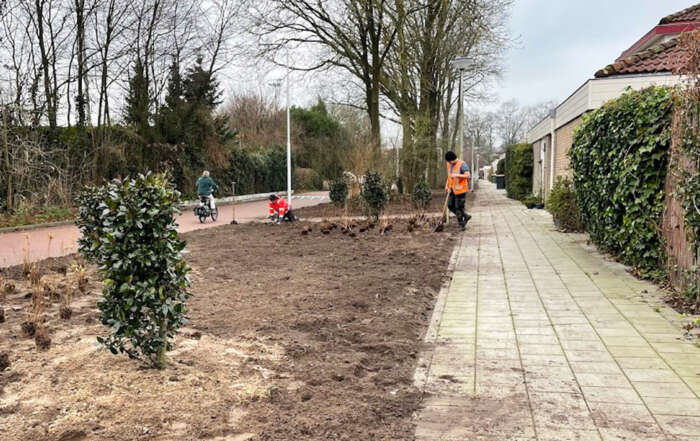 Langeoord beplanting langs Engweg