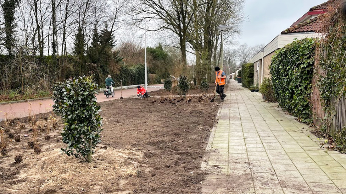 Langeoord beplanting langs Engweg