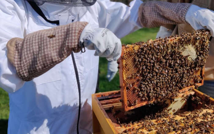 Imkersvereniging Je hoort er BIJ