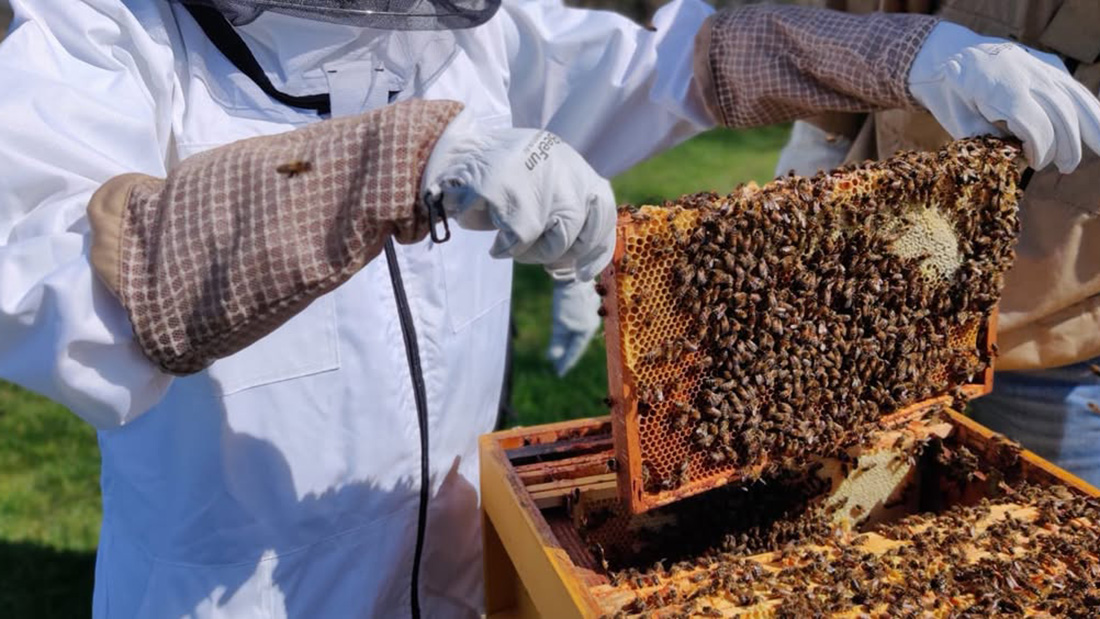 Imkersvereniging Je hoort er BIJ