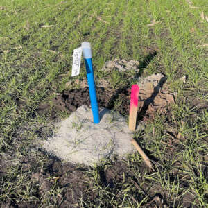 Begraafplaats Hoogland-West paaltjes