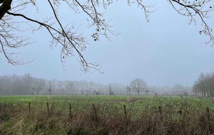 Weidegebieden in Park Schothorst