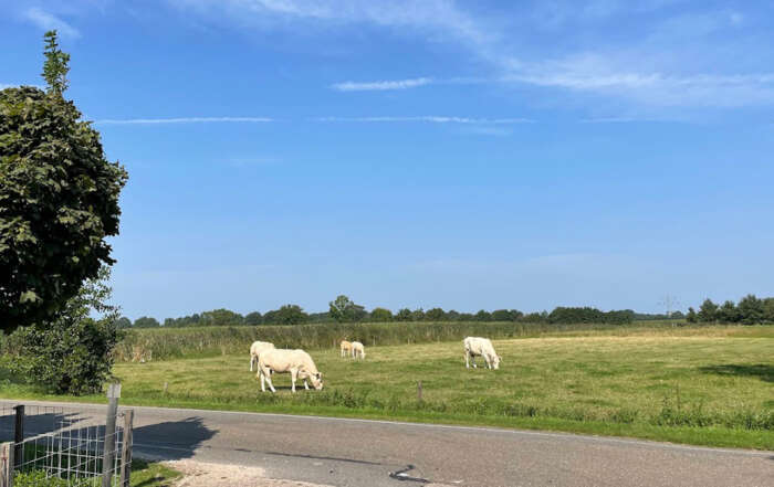Commissie Omgeving Hoogland-West
