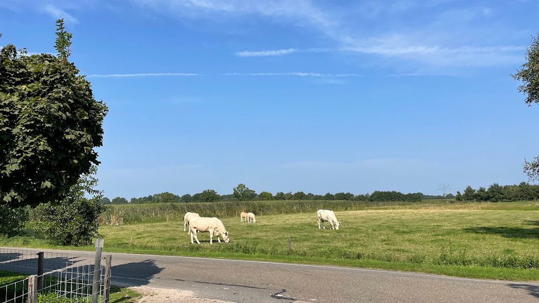 Commissie Omgeving Hoogland-West