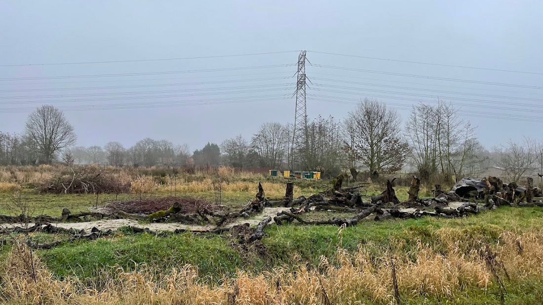 Stadslandbouw Kort Hooglands nieuws