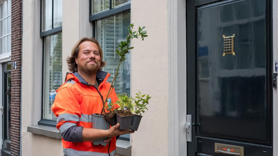 Gratis planten en bomen in Amersfoort