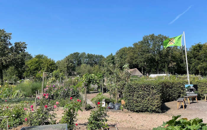 Hooglands nieuws VTV DE Brinken