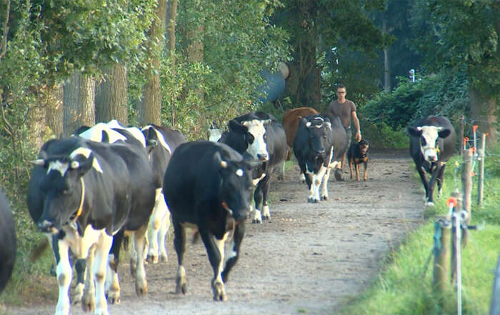 RTV Utrecht documentaire Het land van boer Wim