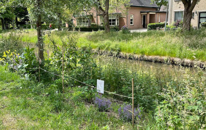 Hooglands nieuws planten aan Kantklosserspad