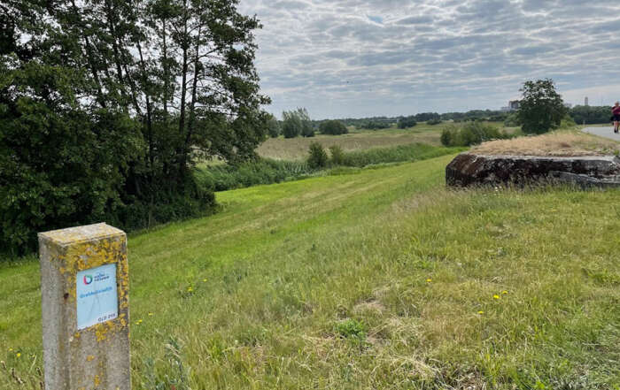 Speelbos en wandelpad in Hoogland-West