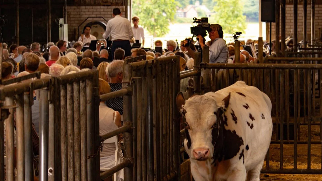 Video van Koecert in Heerlijkheid Groot Weede in Hoogland