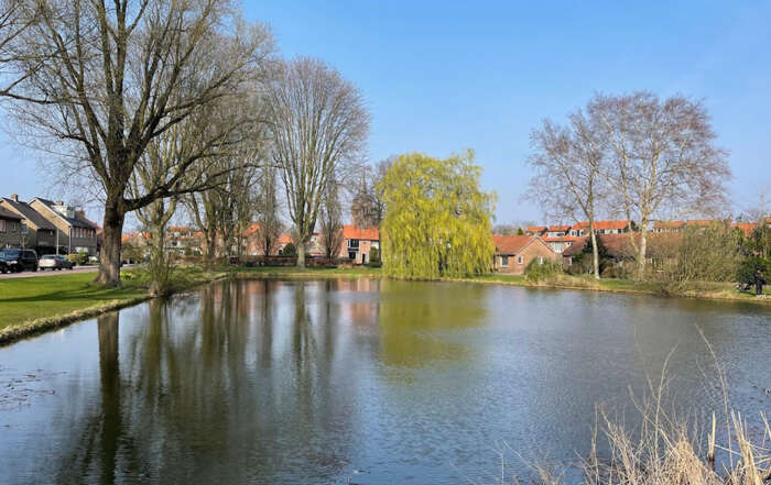 Visles in de Berkenvijver in Hoogland