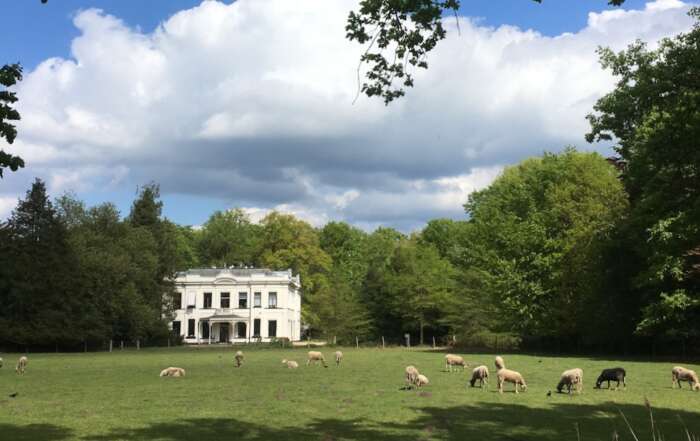 Witte Huis in Park Schothorst