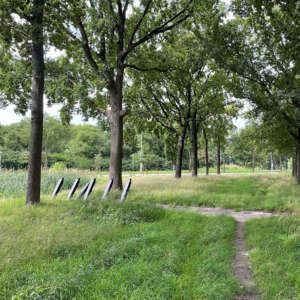 Verborgen zone - Aspergeversperring