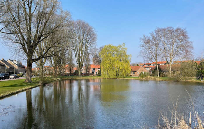 Visoverwinteringsplaats in Berkenvijver Hoogland