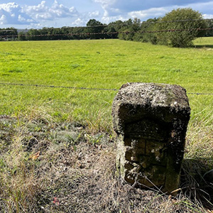 Mussertpalen langs Hamseweg in Hoogland sqr