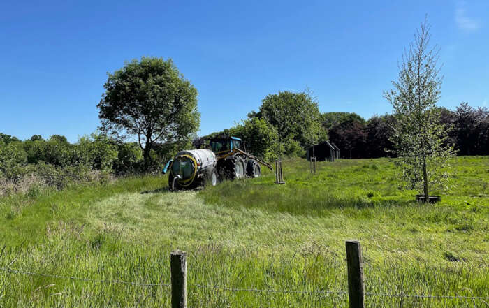 Park Schothorst groene weilanden stiltegebied