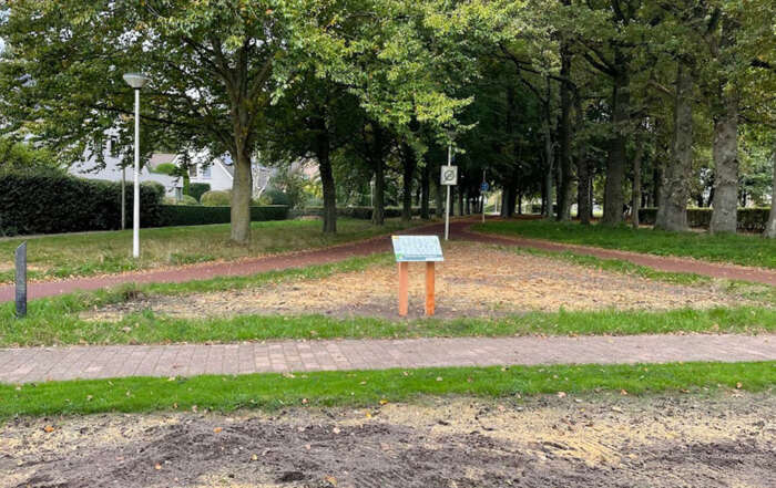 Hooglands nieuws groenstroken ingezaaid