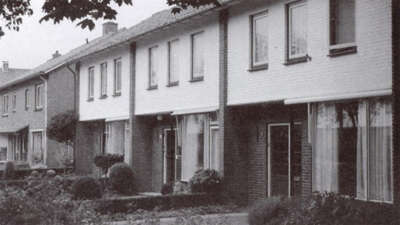 Zorgen over allochtonen Plataanweg in 2007