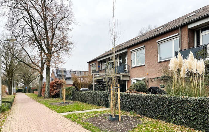 Eikenbomen langs Venterspad