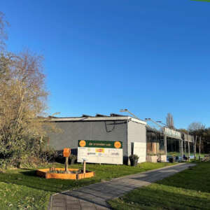 Hooglands nieuws bijenbloemenbak