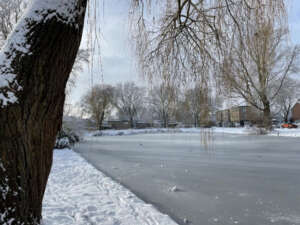 Kort nieuws Berkenvijver in de sneeuw met Berkenschool