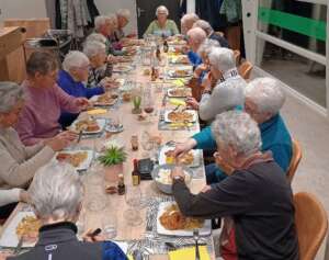 Kort nieuws Hooglandse Maatjes